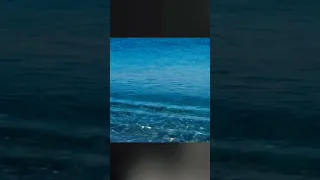 ياصعب لون الفقد يامتعب الخيل ليتك تشوف اللي برا القلب ليتك لاتنسوا الاشتراك في القناة وتفعيل الجرس 