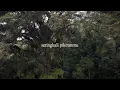 Petra Sihombing - Hantu di Lemari (Lyric Video)