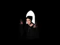 St. Vincent - Pulga (Official Audio)