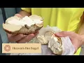 Bagel Review - Heaven s Hot Bagel New York NY