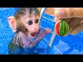 Lagu Monkey Baby Bon Bon drives a car and plays with puppy and duckling by the track | Bon Bon Indonesian