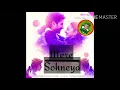 Download Lagu Mere Sohneya Remix song