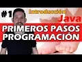 Primeros pasos en programacion Java - Introduccion