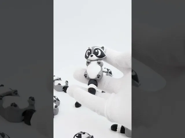 Flexi Raccoon - Toy/Keychain video thumbnail