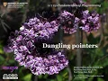 2 05 2 Dangling pointers