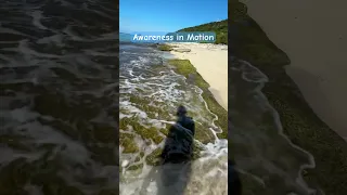 Longevity Looks Like This #healthspan  #movement #fieldnotes