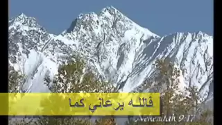 كذبوا   زياد شحاتة دندنها