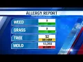 Houston Area Allergy Report for February 5th