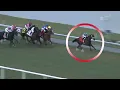 Gulfstream Park Saffie Joseph Jr s Filly Mare Turf - Be Your Best
