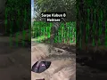 Download Lagu jual kebun 8 Ha 350 Juta siap panen Lokasi Sambas Kalbar