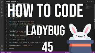 how to code racket - 45 ladybug