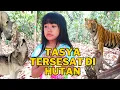 Download Lagu TASYA GOT LOST IN THE FOREST-TASYA TERSESAT DI HUTAN