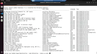 Developing Aws Lambda Functions using Dotnet inside a Docker Container no more AWSCLI in Host OS