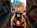Download Lagu u i aa uiaa song miaw⁉️ #cat #funny #miaw #uiacat #uia