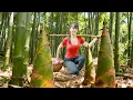 Download Lagu 366 Days of Bushcraft – Harvesting 100Kg Bamboo Shoots \u0026 Making Pickled Garlic and Chili