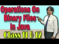 Operations on Binary Files in Java Class 11th 12th ICSE ISC BCA MCA B Tech B Sc