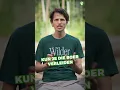 Download Lagu Boeren verleiden met meer onkruid - Matthijs Westerwoudt [Sustainable Innovators]