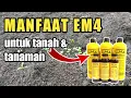 Lagu INI DIA! Manfaat EM4 untuk Tanah \u0026 Tanaman