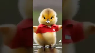 او او او محمد هنيدى 