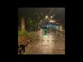 Fine Line - Harry Styles (with rain to sleep )