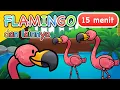 Download Lagu Lagu Anak | Flamingo dan Lainnya | 15 Menit