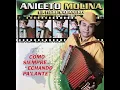 Download Lagu EL NEGRO ALTANERO 2004 🕺🏿💯🎵💎 - ANICETO MOLINA