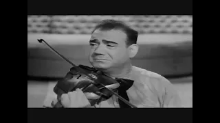 فرحة يا عين ما تم ت شكوكو 