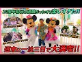 Download Lagu 【VLOG】香港ディズニーランド・リゾート20周年を週末で１泊３日で過ごしたら楽しすぎた!!【Honf Kong Disneyland】