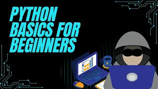 Python Basics for Beginners Introduction Print Comments