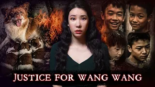 [TRIGGER WARNING] A Village Dog’s Shocking Death Sparked a Worldwide Protest | The Wang Wang Case