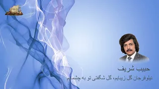 حبیب شریف   نیلوفر جان  گل زیبایم                                            دندنها