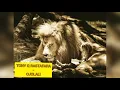 Download Lagu TONY Q RASTAFARA - OJOLALI
