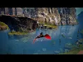 FF14 Red Lanner Mount music