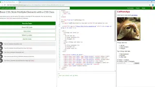 Basic CSS Style Multiple Elements with a CSS Class Learn