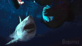 upside down shark fight 47 meters down uncaged clip