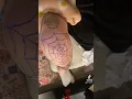 Come watch me tattoo a spider web on my knee cap