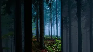 تجربة القناة مناظر طبيعيه راصد ترند عاجل فيديو تيك توك سناب 