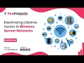 Maximizing Lifetime Vector in Wireless Sensor Networks