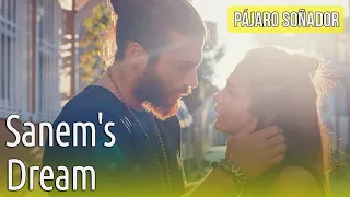 p jaro so ador sanems dream audio espa ol erkenci kus