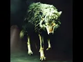 Wolf In Sheep's Clothing [REBORN]