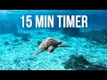 15 Minute Timer With Music Relaxing Peaceful Underwater Ocean Sea Life Countdown 4K