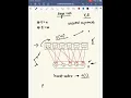 Data Structures for Graphs Edge List and Adjacency List