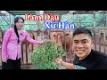 Download Lagu Cuộc Sống Của Cô Dâu Việt 13 Năm Lấy Chồng Hàn Quốc 
