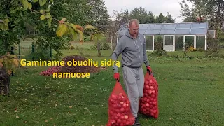 Obuolių sidro gaminimas namuose. 1 dalis