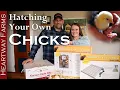 Incubator Comparison Farm Innovators vs Nurture Right How to Incubate Eggs Heartway Farms
