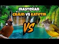 Download Lagu 🔴 24/7 LIVE: MASTERAN | CILILIN SAMBUNG KAPAS TEMBAK PALING MUDAH DI TIRU MURAI BATU 🔥🔥🔥
