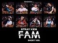 Download Lagu [SHORT LYRICS] Stray Kids - FAM (Eng Sub)