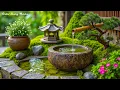 Download Lagu Soothing Piano Music + Nature Sounds 🌿 Deep Sleep, Calming Music Relieve Stress, Melatonin \u0026 Toxins