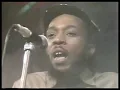 The Natural ites - Picture On The Wall - Live