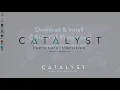 CATALYST Professional Windows Installation